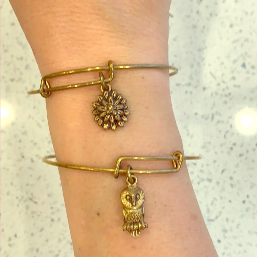 Alex and ani set of 2 bracelets